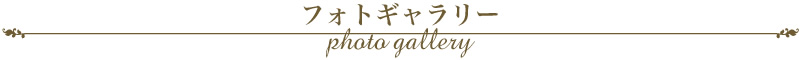 フォトギャリー　photo gallery